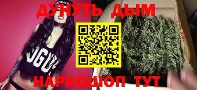прущие грибы Гатчина