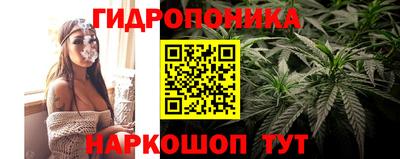 прущие грибы Гатчина
