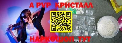прущие грибы Гатчина