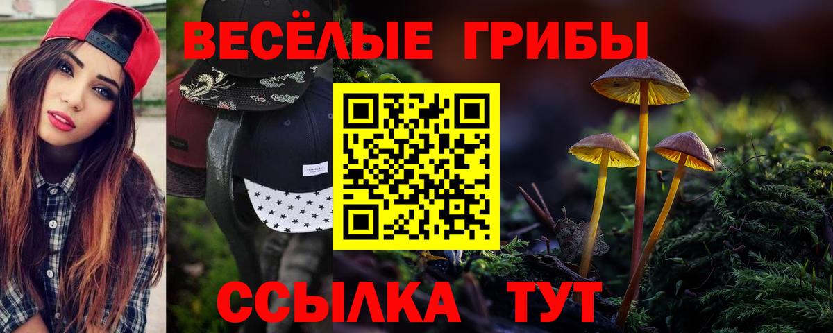 Галлюциногенные грибы прущие грибы  Вход с VPN  цены   Мценск 